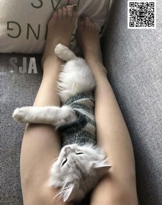 第一财经