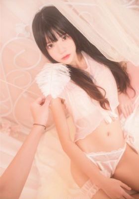 赘婿电视剧